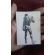 ACEO print of Cheetahs