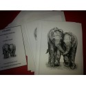 Pack of 6 Elephant Notelets
