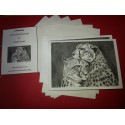 Pack of 6 Loving Cheetahs Notelets