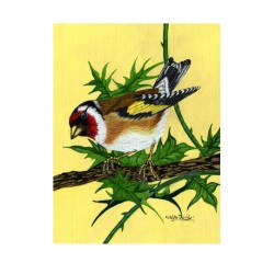 Pack of 6 robin Notelets