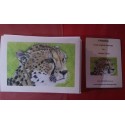 Pack of 6 Cheetah Notelets