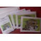 Pack of 6 Orangutan Notelets
