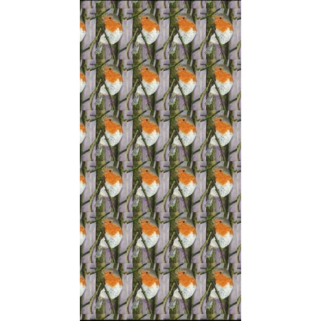 Ladies Scarf Robin