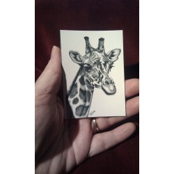 ACEO print of Giraffe