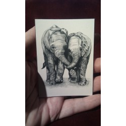 ACEO print of a Baby Elephant