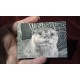 ACEO print of a Young Elephants