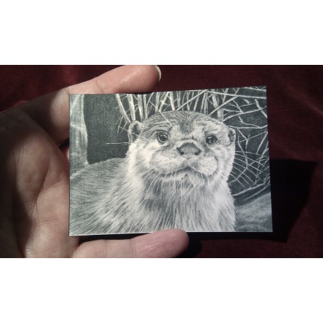ACEO print of a Young Elephants
