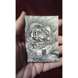 ACEO print of a Tiger Cub