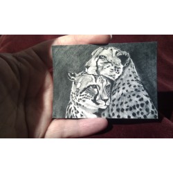 ACEO print of a Tiger 